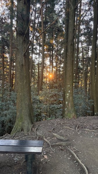 加里山東南峰2867923