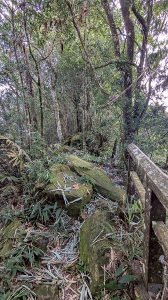 九份二山步道2861231