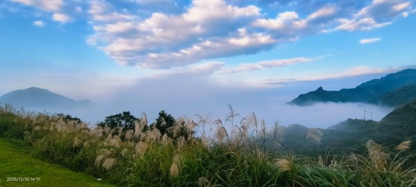 #樹梅坪 #金瓜石 12/102958900