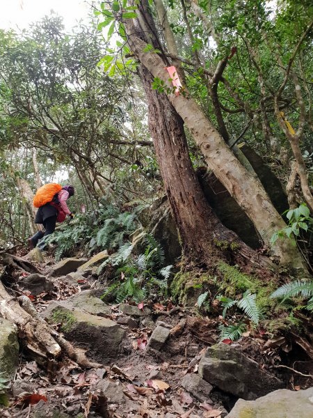 20190106硬陡的第八雄-阿冷山500822