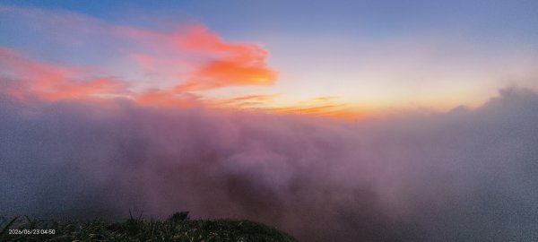 #大屯山 #日出 #雲海 #火燒雲 #霞光 #青斑鳳蝶 #青帶鳳蝶 #臺灣粉蝶 6/233078159