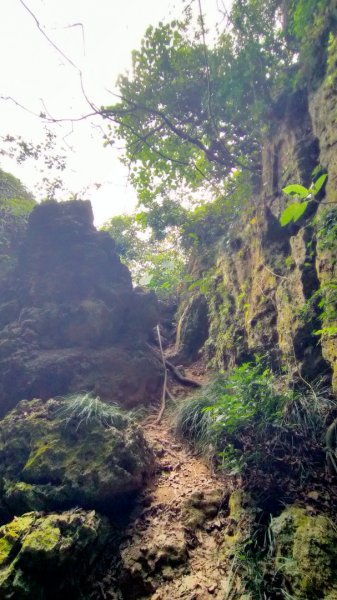 北柴山秘境之旅2754394