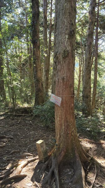 20251003-1006 南湖群峰四天6座百岳2919642