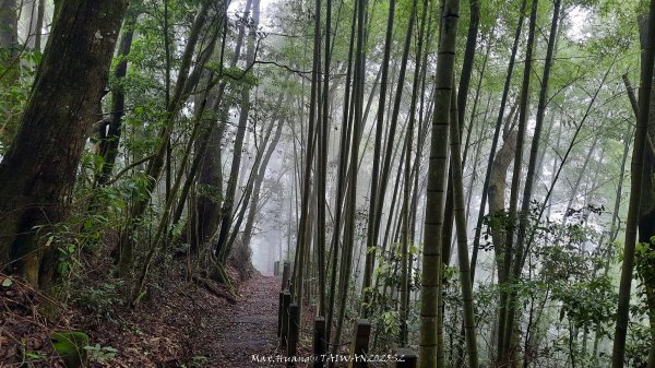 《雲林》望好望角｜石壁山嘉南雲峰步道(中側登山口）202506072805437