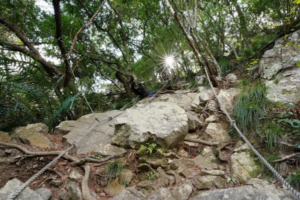 臺中 和平 屋我尾山、十文溪山2699442