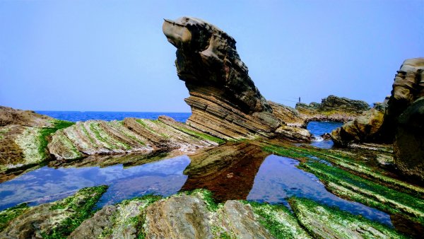 東北角海邊封面