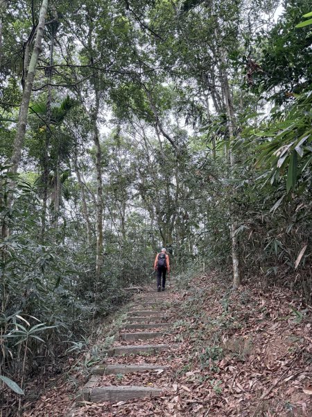 埔里撿基石-西關刀山西峰(貓頭山).牛眠山.三角嶺山(東南峰)  2024.12.142669865