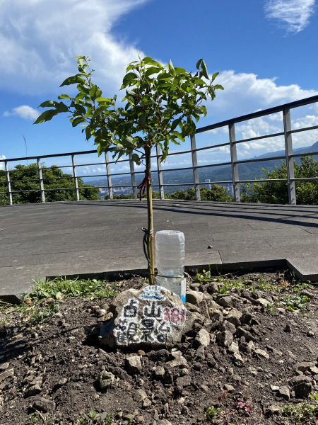觀音山公車站 占山步道 占山 東明宮 東明山 福安宮 潮音洞 O繞