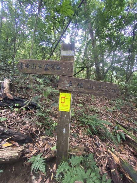 20250713-Ep.10李崠山步道-2025森遊竹縣皮皮獅探險隊2851943