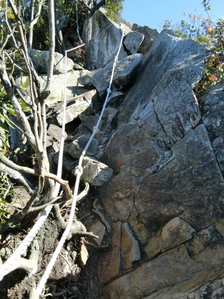 喜愛曬太陽又流汗又刺激又美麗446183