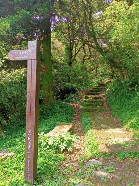 菜公坑山步道【走遍陽明山】2114035