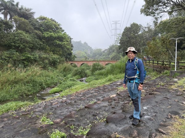 [樟之細路_第一大段RSA01] 2026_0329 大平紅橋3026645