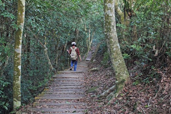 馬那邦山(珠湖線來回)375069