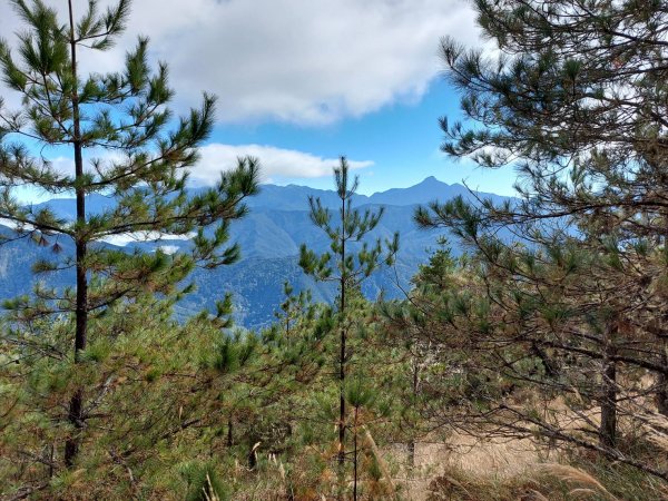 雪山東峰1585156