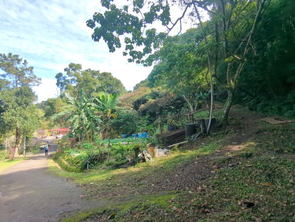 2026.01.25－微笑山線：【天上山系】烘爐地土地公段2994587