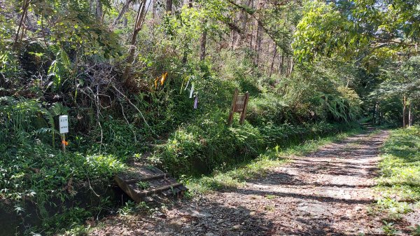 惠蓀林場小出山登山步道關刀山林道起登1725987