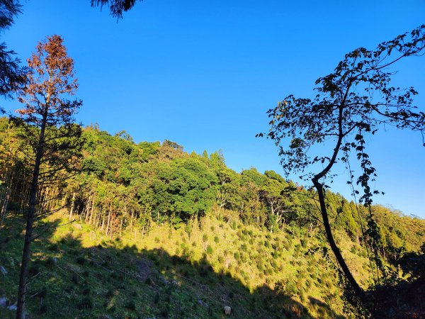 小百岳集起來-鵝公髻山2181606