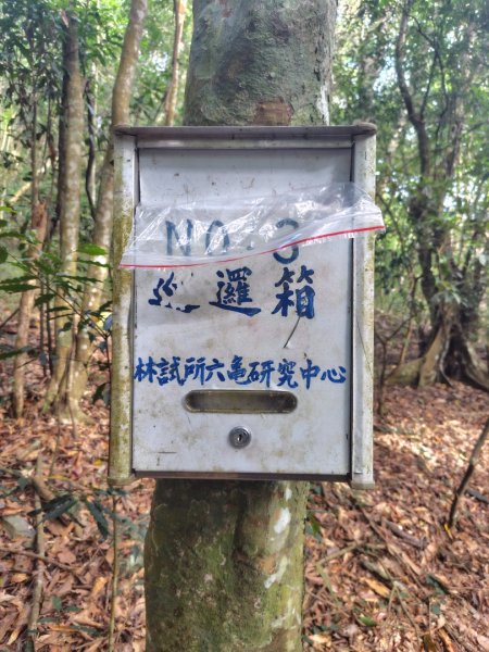 多納六秀 京大山2957588