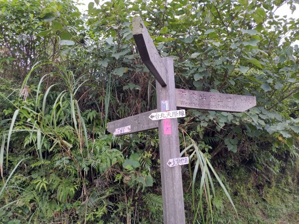 平溪五分山1142548