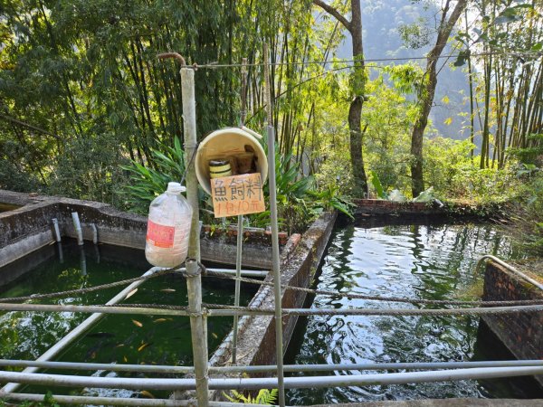 草嶺蓬萊瀑布2717792