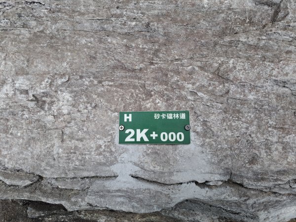 砂卡礑二日行D1：得卡倫步道→大禮部落→砂卡礑林道→立霧山→大同部落202312022368261