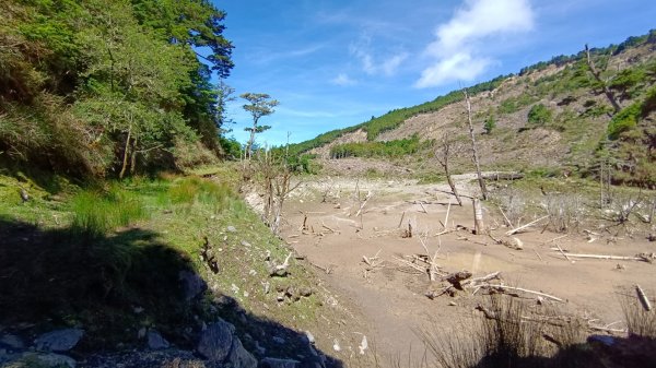 小關山林道27.5k登小關山1795016