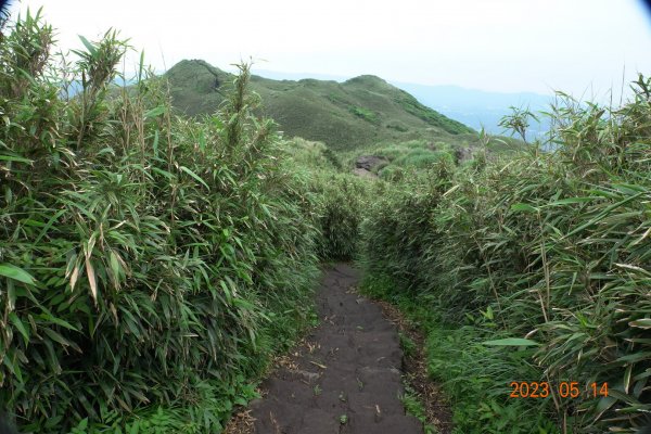 臺北 北投 七星山主峰、東、南、北峰2150427