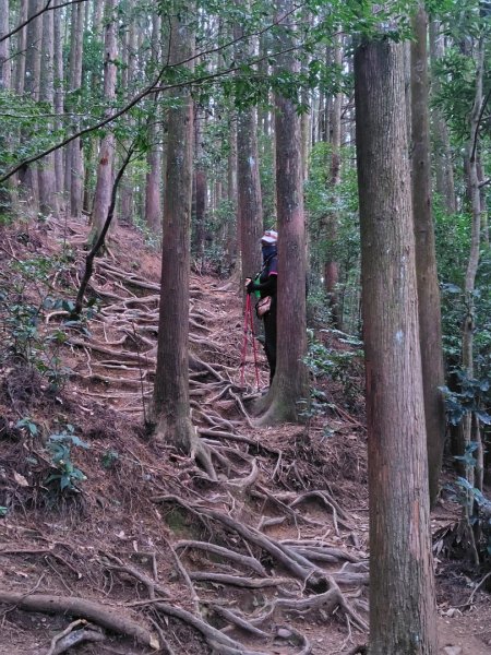 長壽山、肥崠山、醜崠山、大崠山、大崠山經建版2931529
