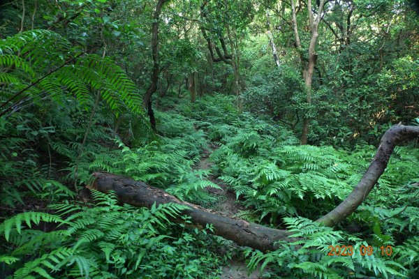 基隆 七堵 三界山、開眼尖山、七分寮山2282721