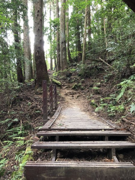 加里山登山步道（鹿場登山口啟登）721530