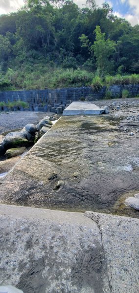 2023-06-24八里灣山登山步道2193652