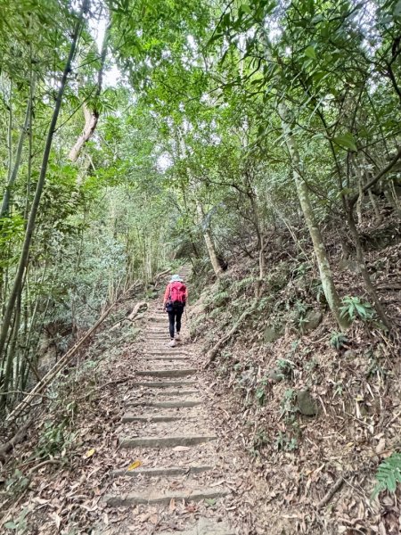 鳴鳳山古道群走鳴鳳山 三湖山吃仙草冰
