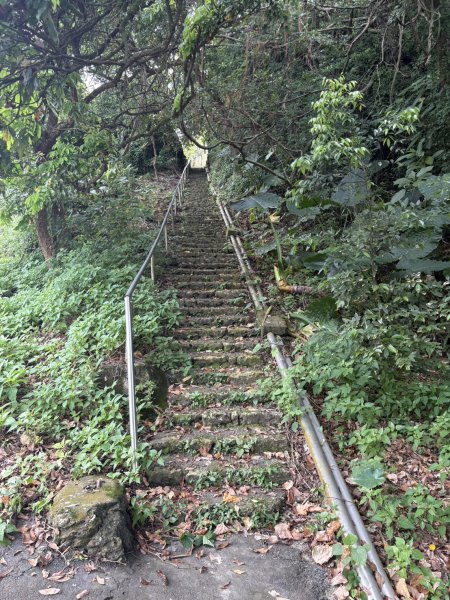 20250907高雄大崗山步道2914747