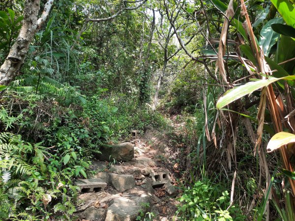 圓通寺烘爐地登山步道1425381