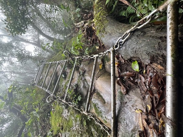 皇帝殿202603293035828