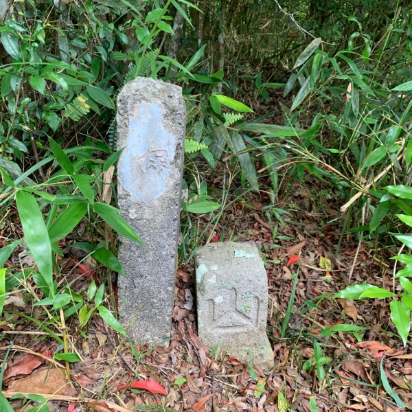 20240525高雄番子寮山-番子寮山主峰2517788