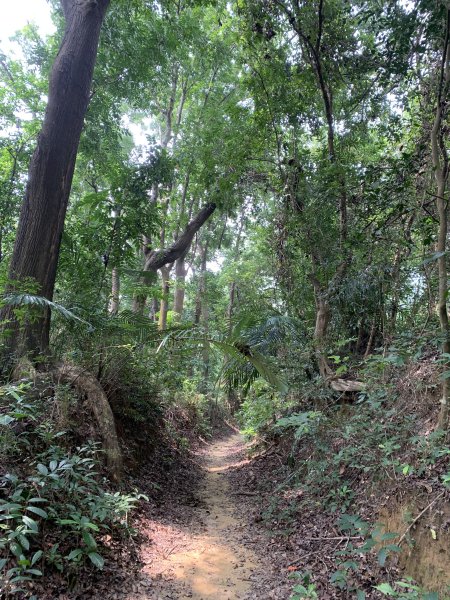 20250906台南糞箕湖山2881421