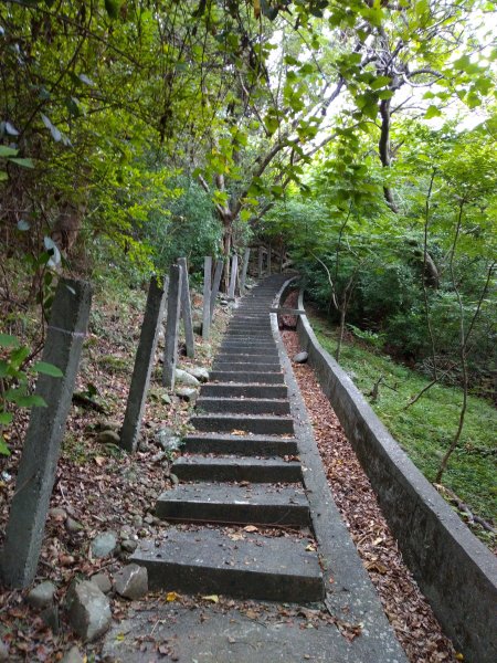  步道巡訪員 l 鯉魚山步道八月巡訪日誌1054786