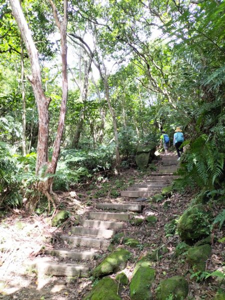 鵝角格山、銀河洞越嶺道2249544