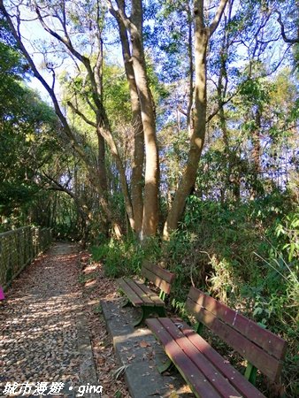 台中~繽紛山行路太忘憂。 五福臨門步道1289210