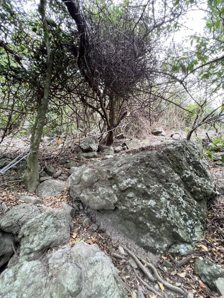 小百岳-大山母山2752564