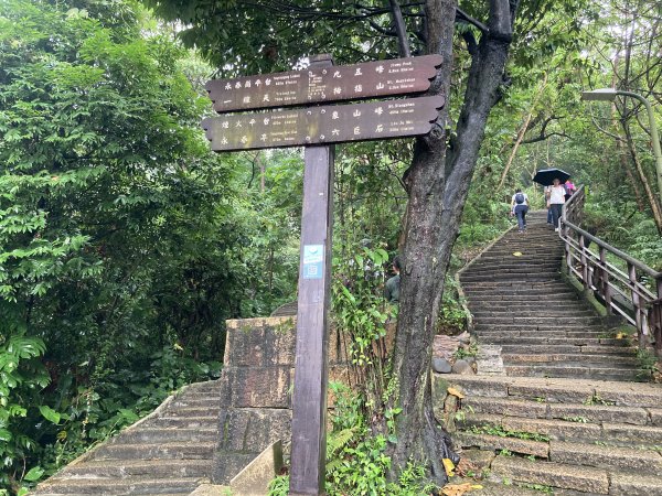 南港山+四獸山2519909