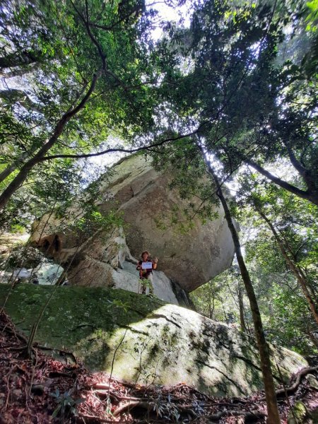 南庄加里山大坪大湳山麓封面