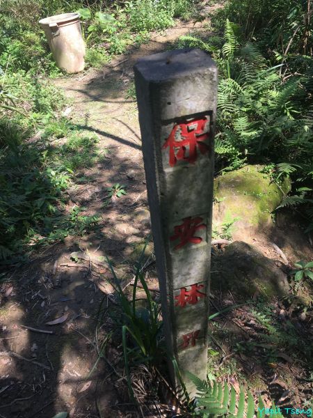 八寮古道 石門山 大竹坑山 小粗坑山285066