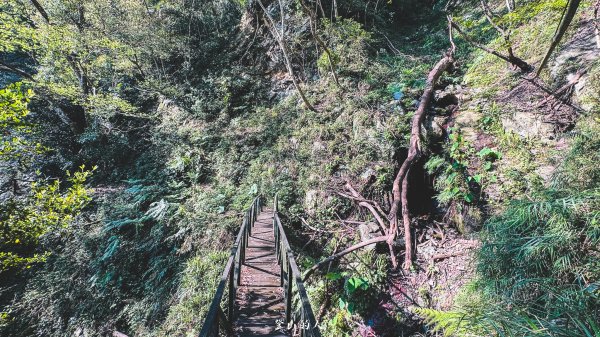 八仙山警官駐在所2803617