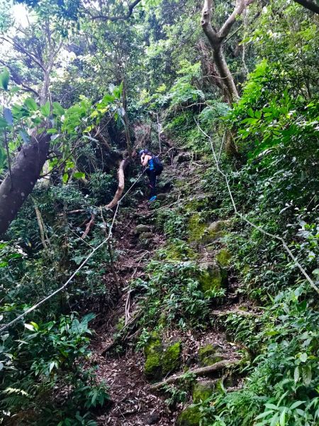 20170610占山&觀音山206239