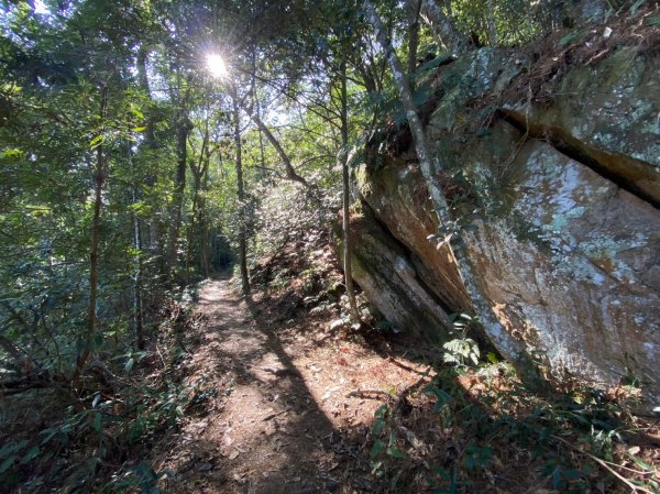 唐麻丹山-松鶴上三角點O型回松鶴2378360