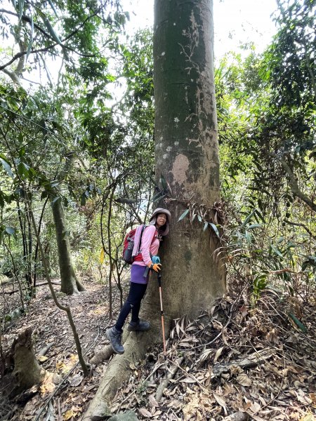 暗影山 西北稜上 南稜下 接仙女瀑布1317876