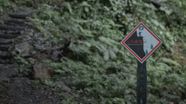 瓦拉米步道-佳心營地住一晚2708461