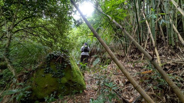 114.06.08門牙岩之O型2806618